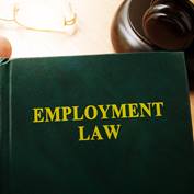 Employment Law Book