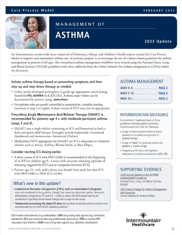Asthma Care Process Model 