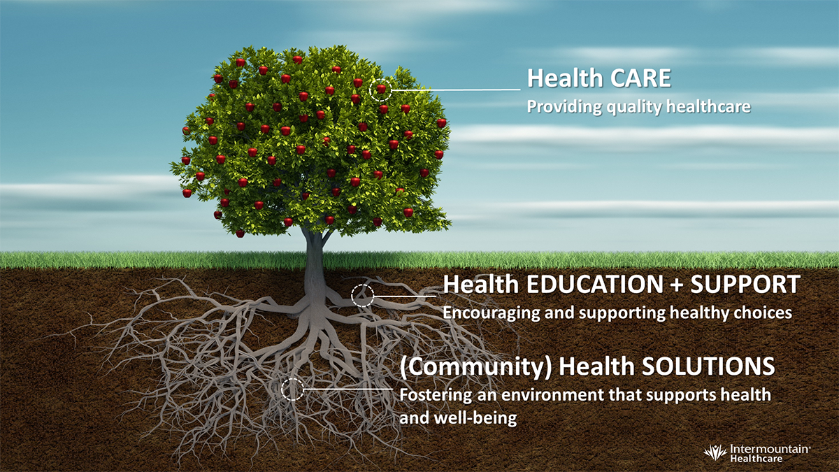 Social Determinans of Health Tree Image-small