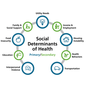 Social Determinants of Health Primary: Interpersonal Violence Food Insecurity Utility Needs Housing Instability Transportation  Secondary: Education Family & Social Support Income & Employment Health Behaviors