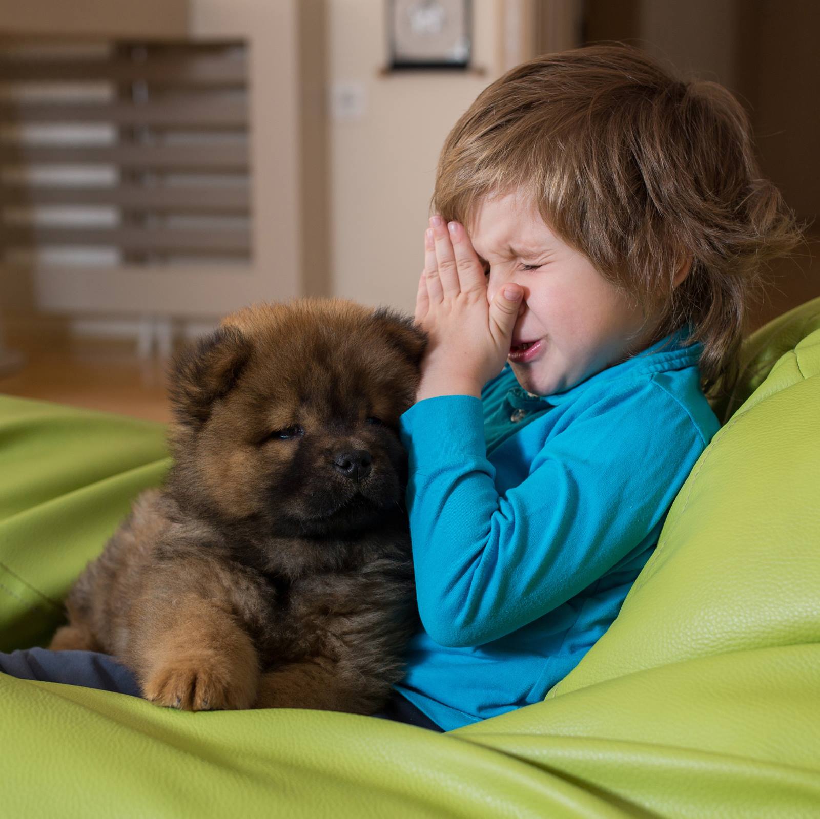 Animal Allergy Allergy and Immunology