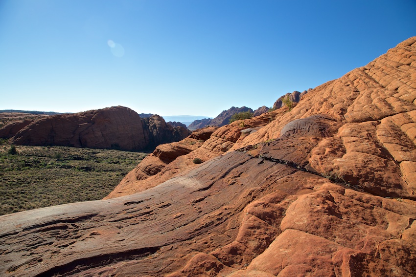 are dogs allowed in snow canyon state park