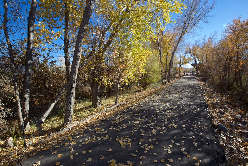 Skipper Bay Trail | Healthy Trail Guides | Intermountain LiVe Well