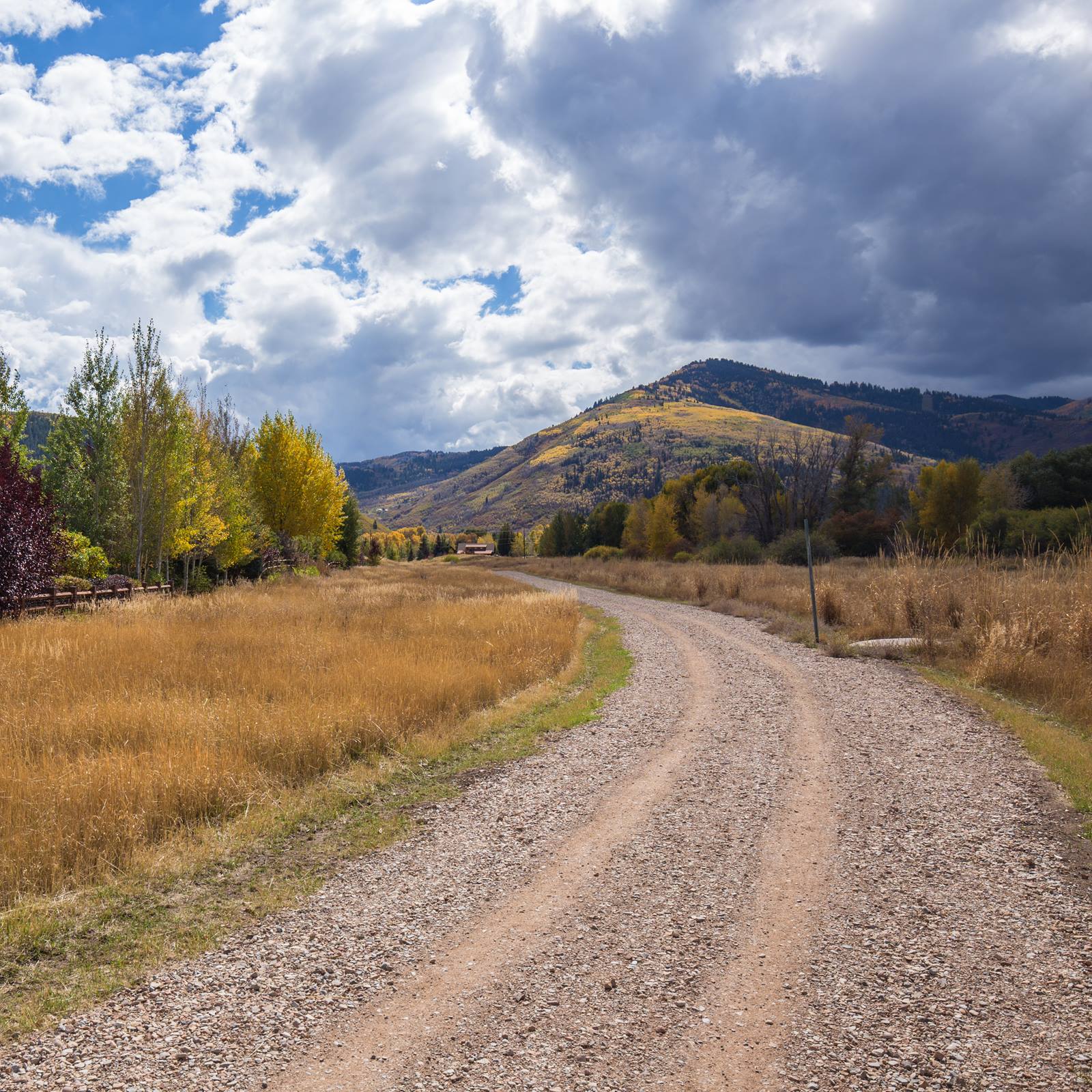 Willow Creek Loop Trail Healthy Trail Guides Intermountain LiVe Well