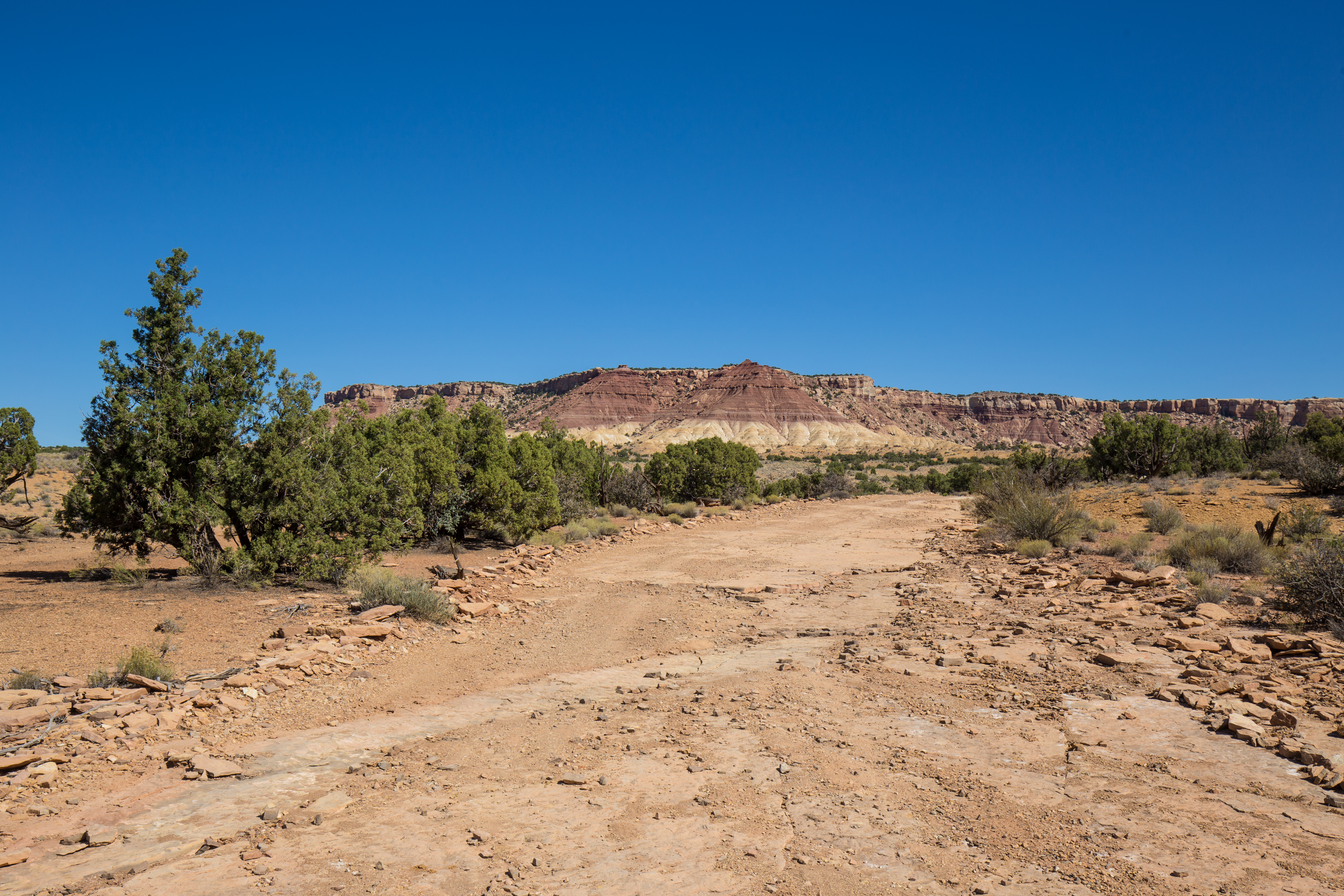 wolverine trailhead