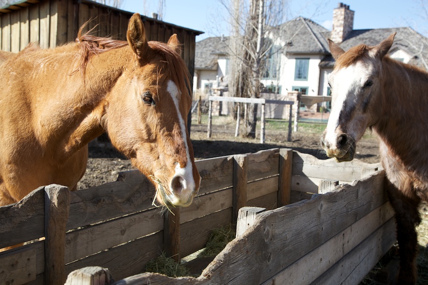 Wheeler Farm Move Well Intermountain LiVe Well Healthy Trail