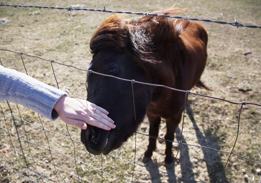 Wheeler Farm Move Well Intermountain LiVe Well Healthy Trail