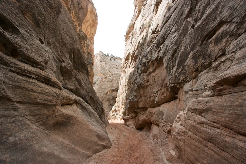 Cottonwood Narrows Healthy Trail Guides Intermountain LiVe Well