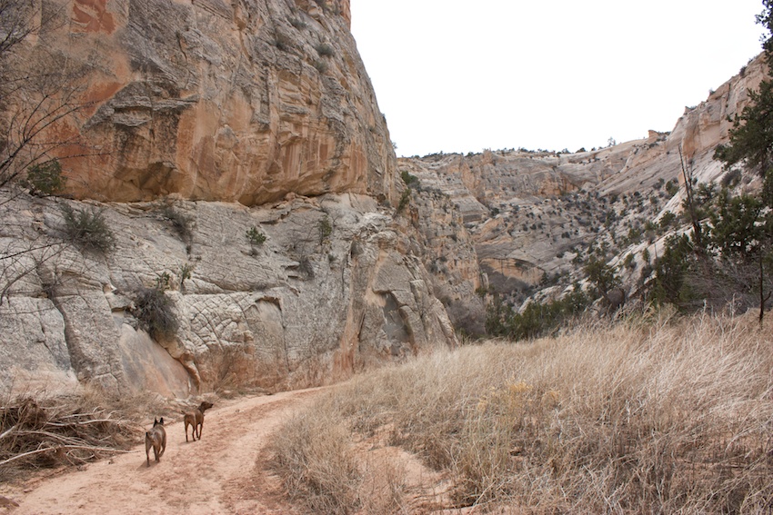Cottonwood Narrows Healthy Trail Guides Intermountain LiVe Well