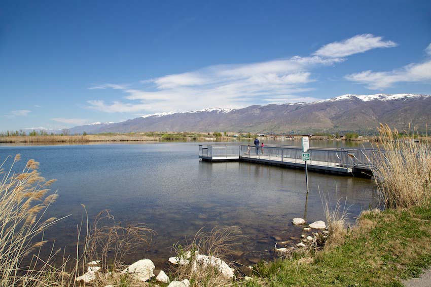 what lakes in utah allow dogs