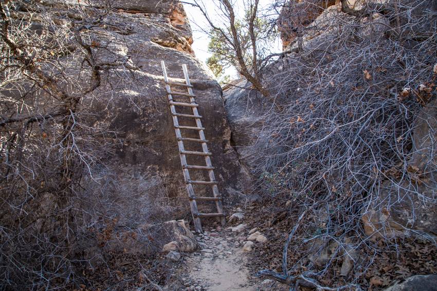Cave Spring Healthy Trail Guides Intermountain LiVe Well