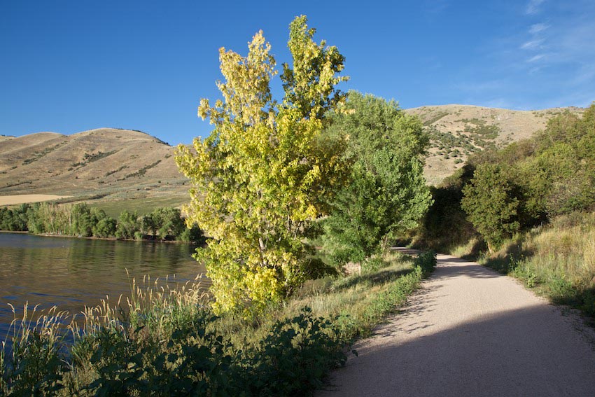 are dogs allowed at mantua reservoir