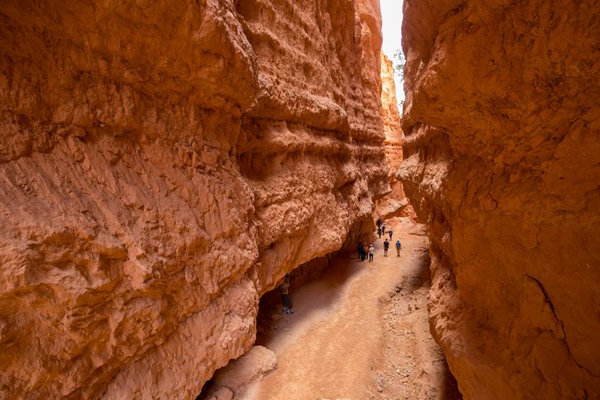 Navajo Loop Trail Map Navajo Loop Trail | Healthy Trail Guides | Intermountain Live Well