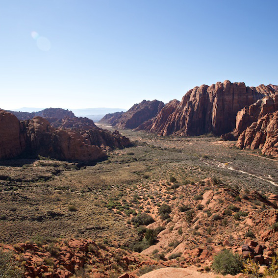 are dogs allowed in snow canyon state park