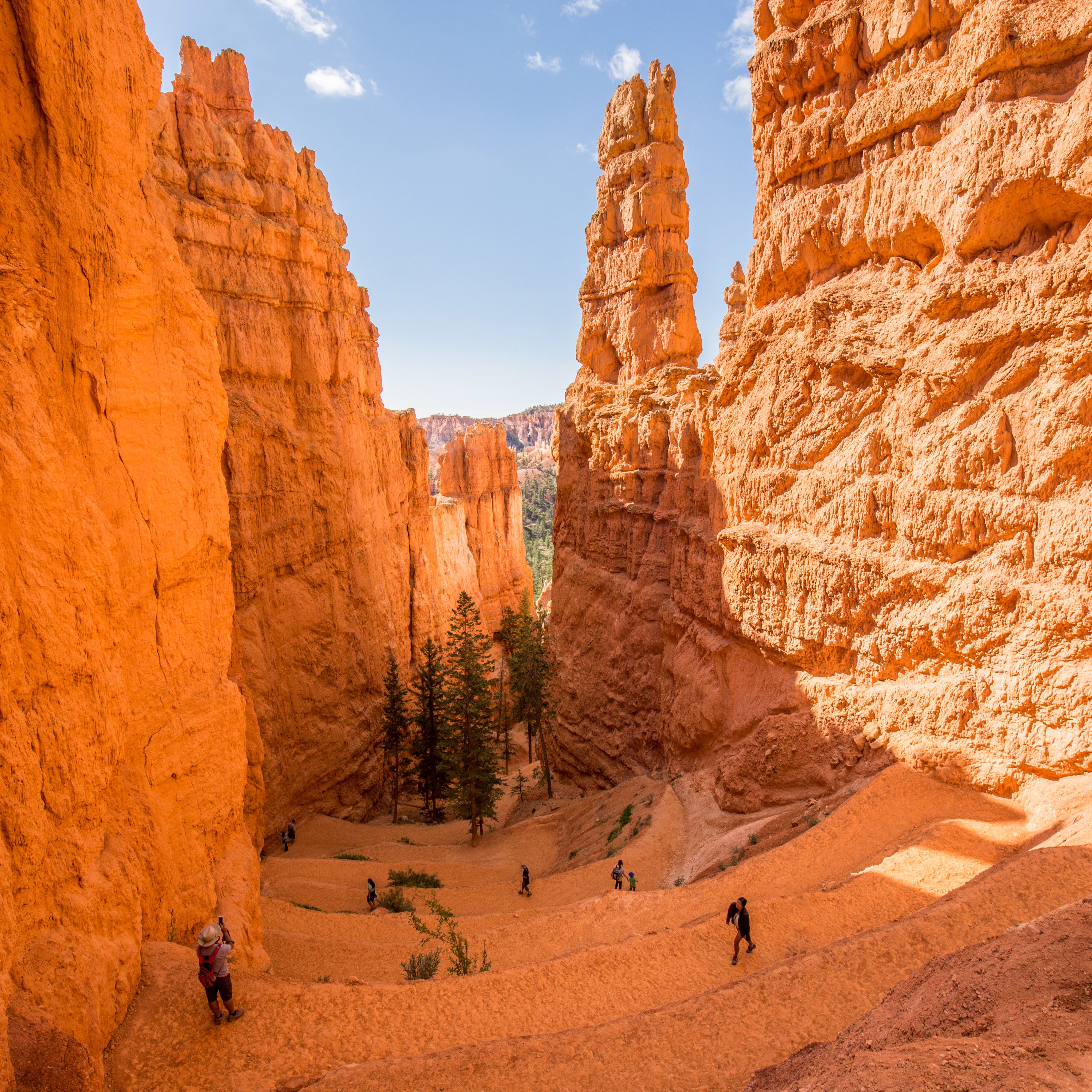 Navajo Loop Trail Healthy Trail Guides Intermountain LiVe Well   Navajo Loop 