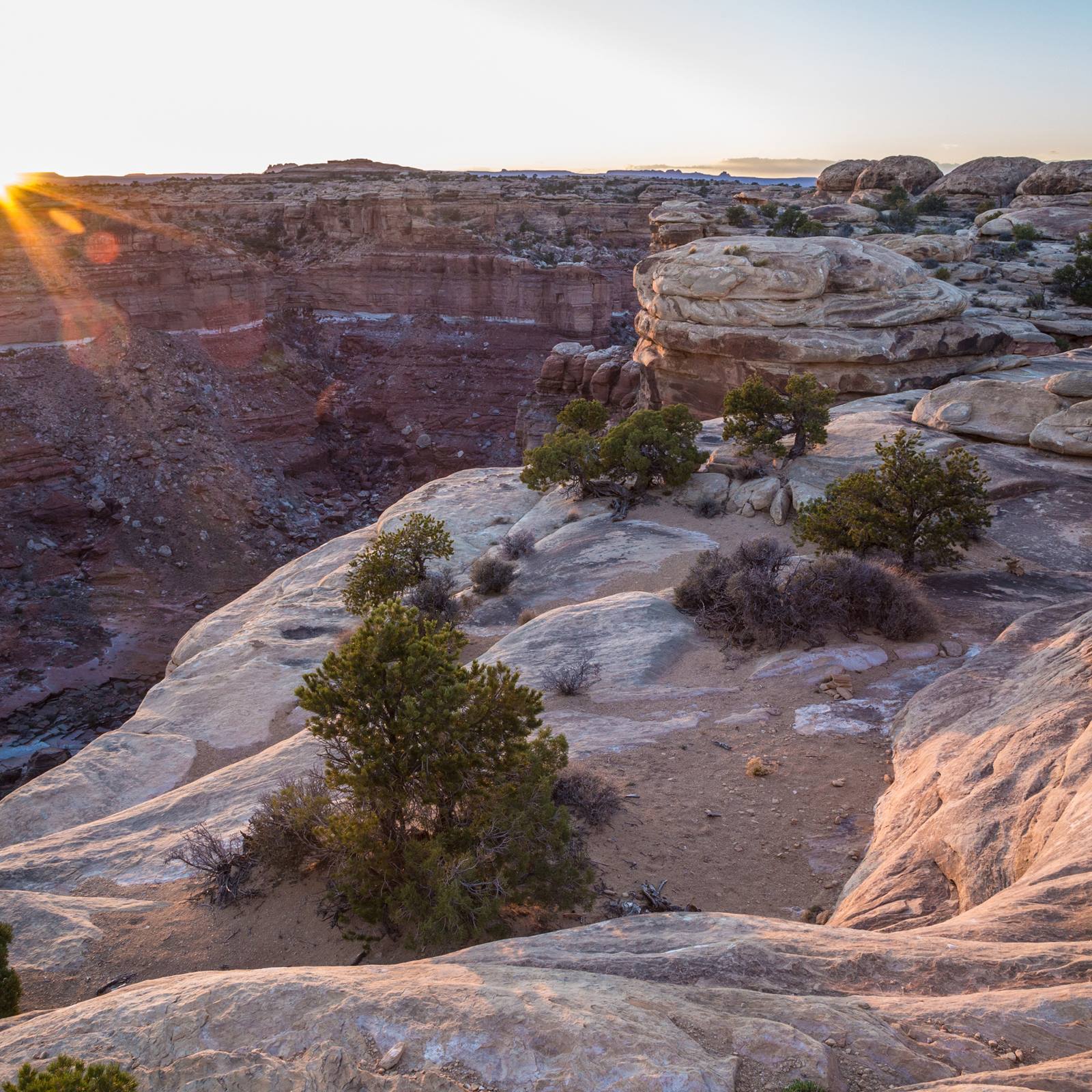 slickrock trail