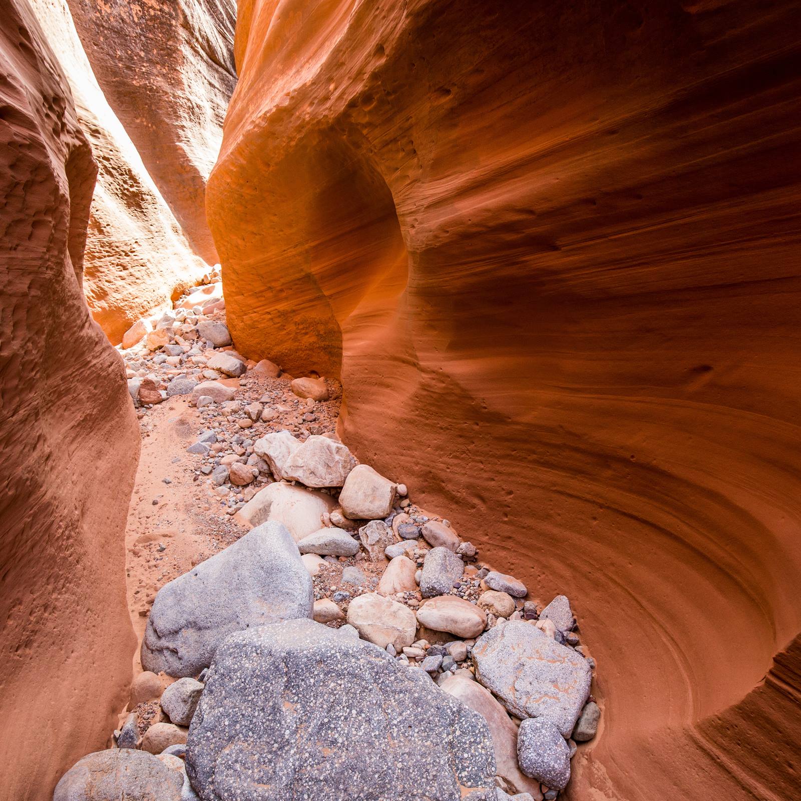 Smith Fork Canyon | Healthy Trail Guides | Intermountain LiVe Well