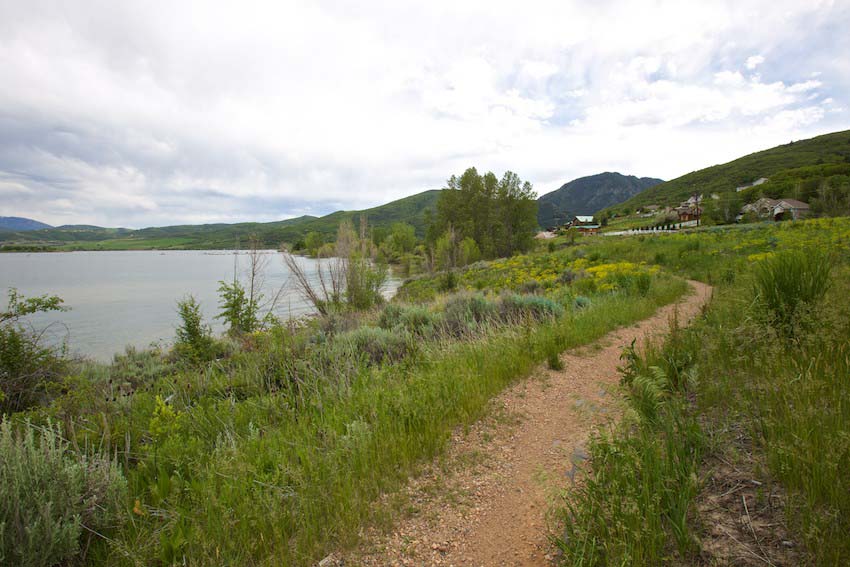 Are Dogs Allowed At Pineview Reservoir