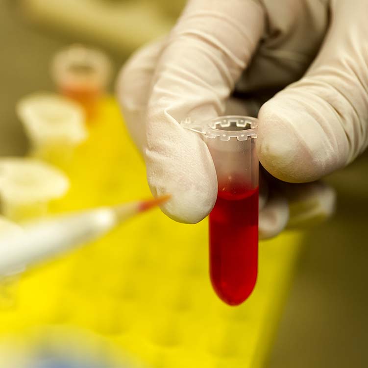 About our Lab Precision Genomics