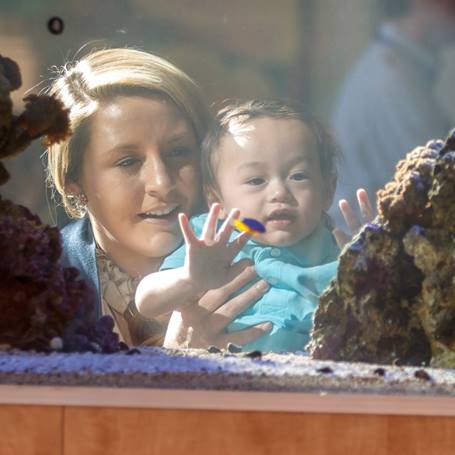 woman-and-baby-looking-at-aquarium