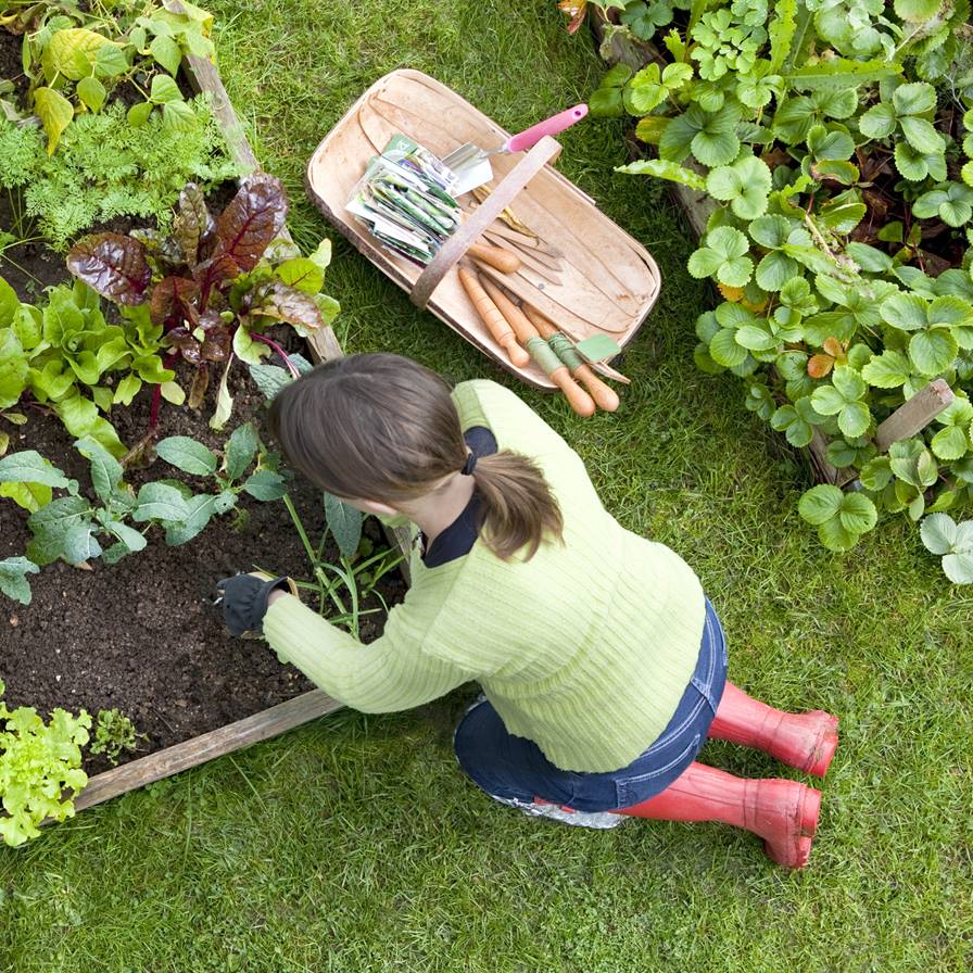 woman-box-gardening