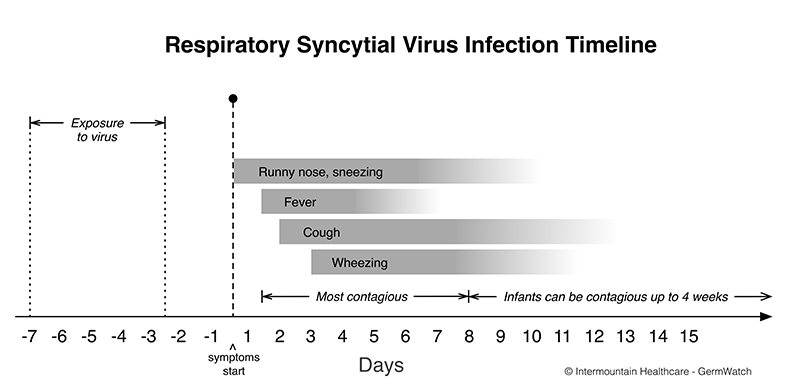 Respiratory Syncytial Virus Intermountain Healthcare   Timeline Rsv 800px 