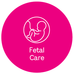 Primary_Promise_CirclesOfCare_Fetal Care