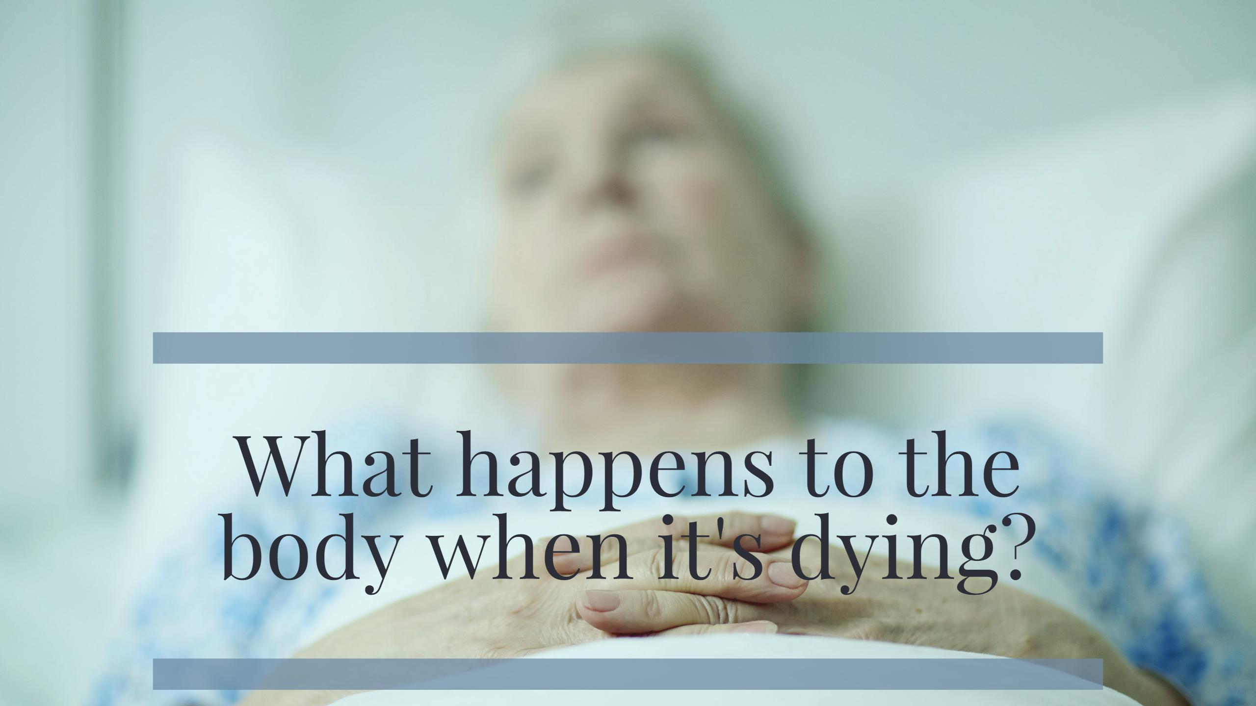 Understanding The Process Of Dying And How To Provide Support   Understanding Process Dying 