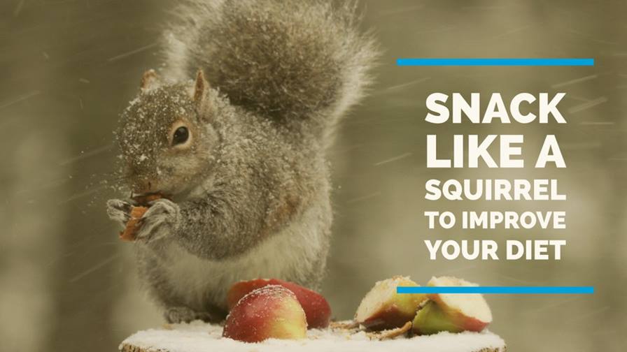 How Snacking Like a Squirrel Can Improve Your Diet