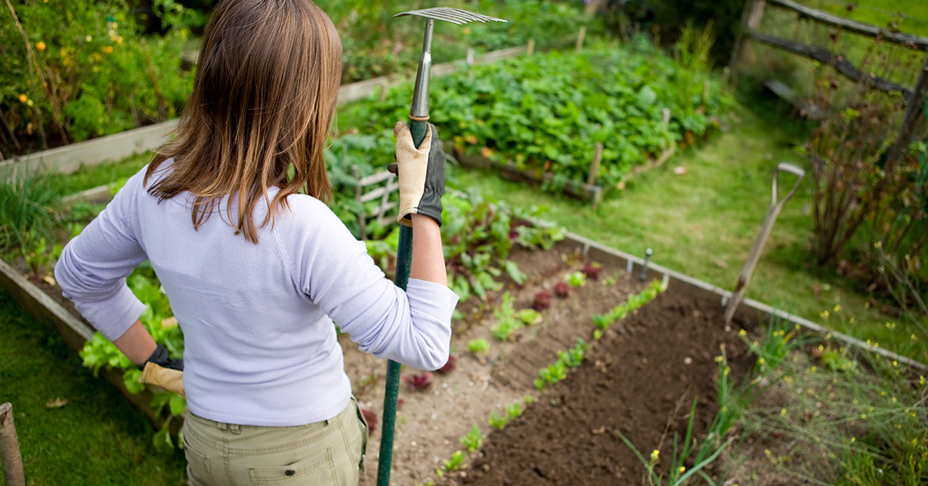 Planting a Home Garden and Growing Healthy Foods