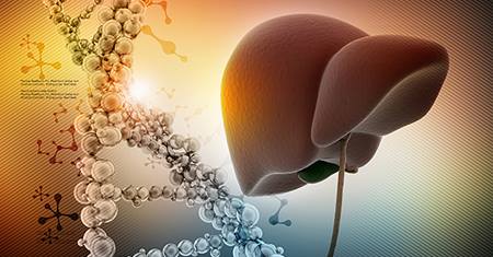 research-liver-transplant-future