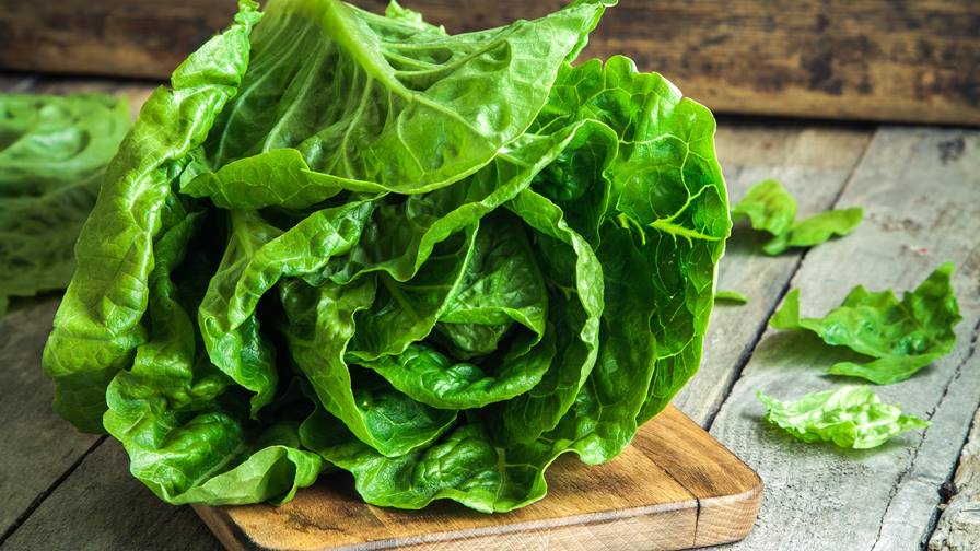 Romaine lettuce recall and E coli