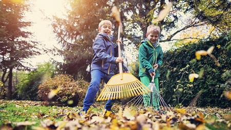 Fall Yard Cleanup Ideas for the Whole Family 