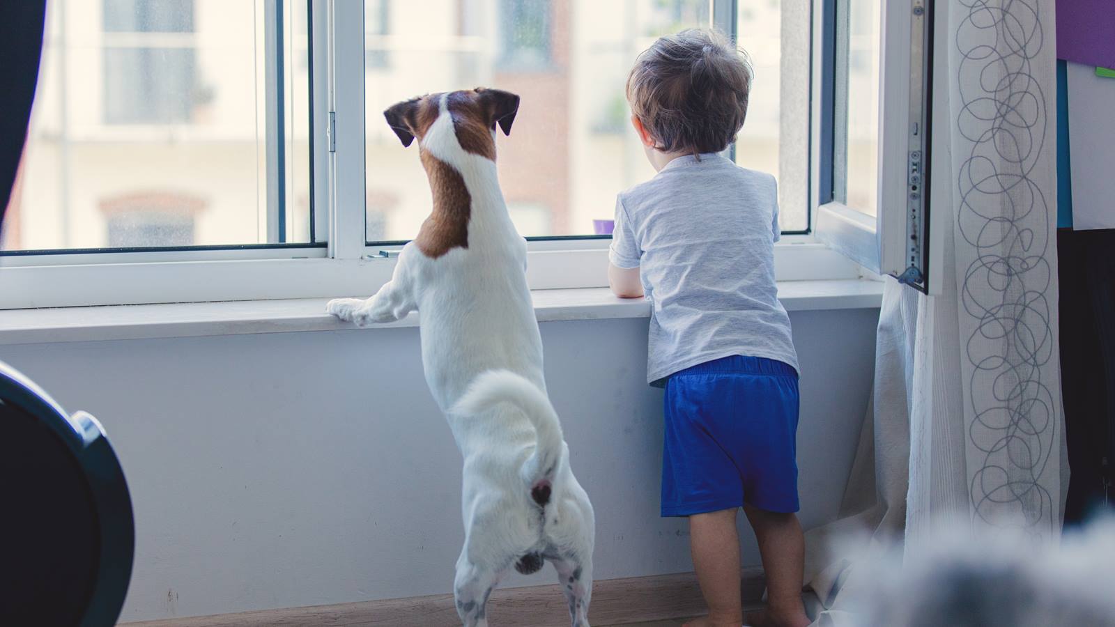 Keep Your Kids Safe from Window Falls