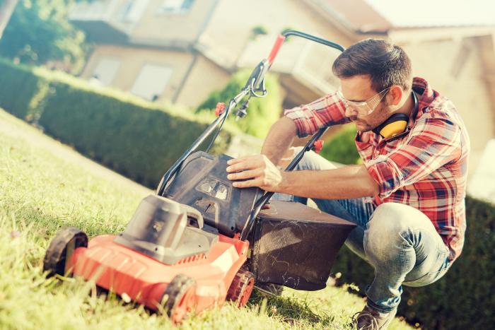 mower the lawn