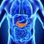 Gallbladder-Pancreas-XRay