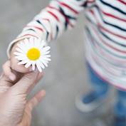 Girl handing a daisy to someone