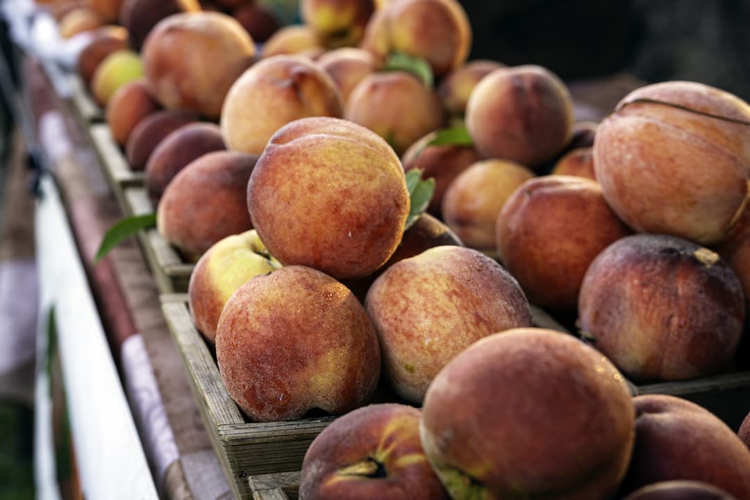 Make Peaches Part of Your Healthy Diet