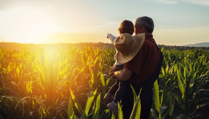 Two people in a corn field with a sunset in the distance