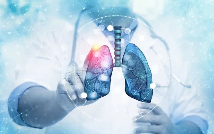 lung graphic