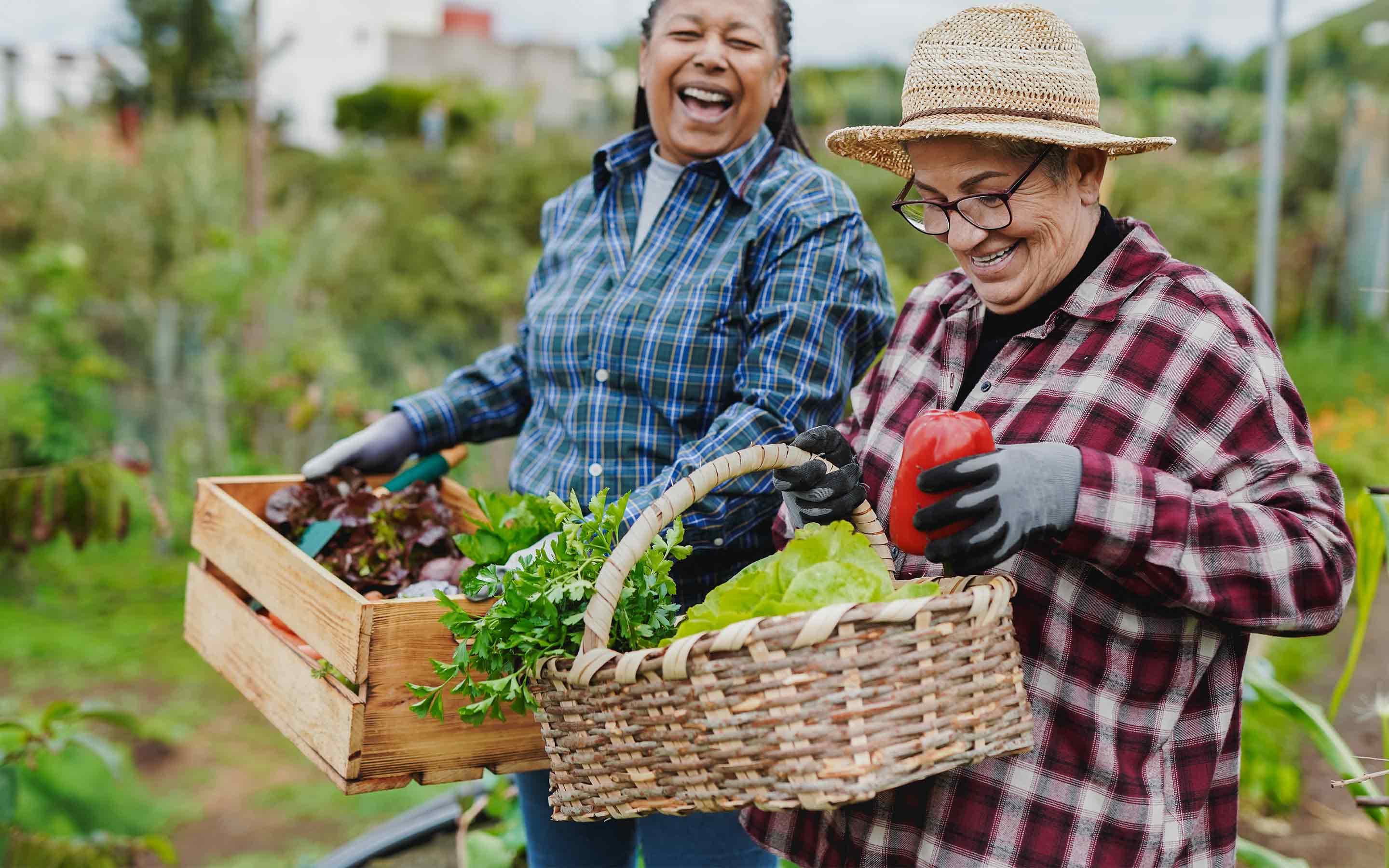 Senior women gardening