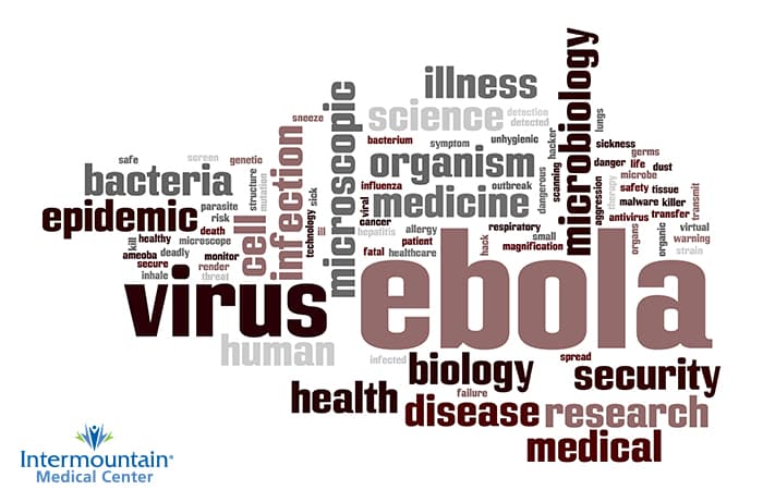 what-is-the-Ebola-virus