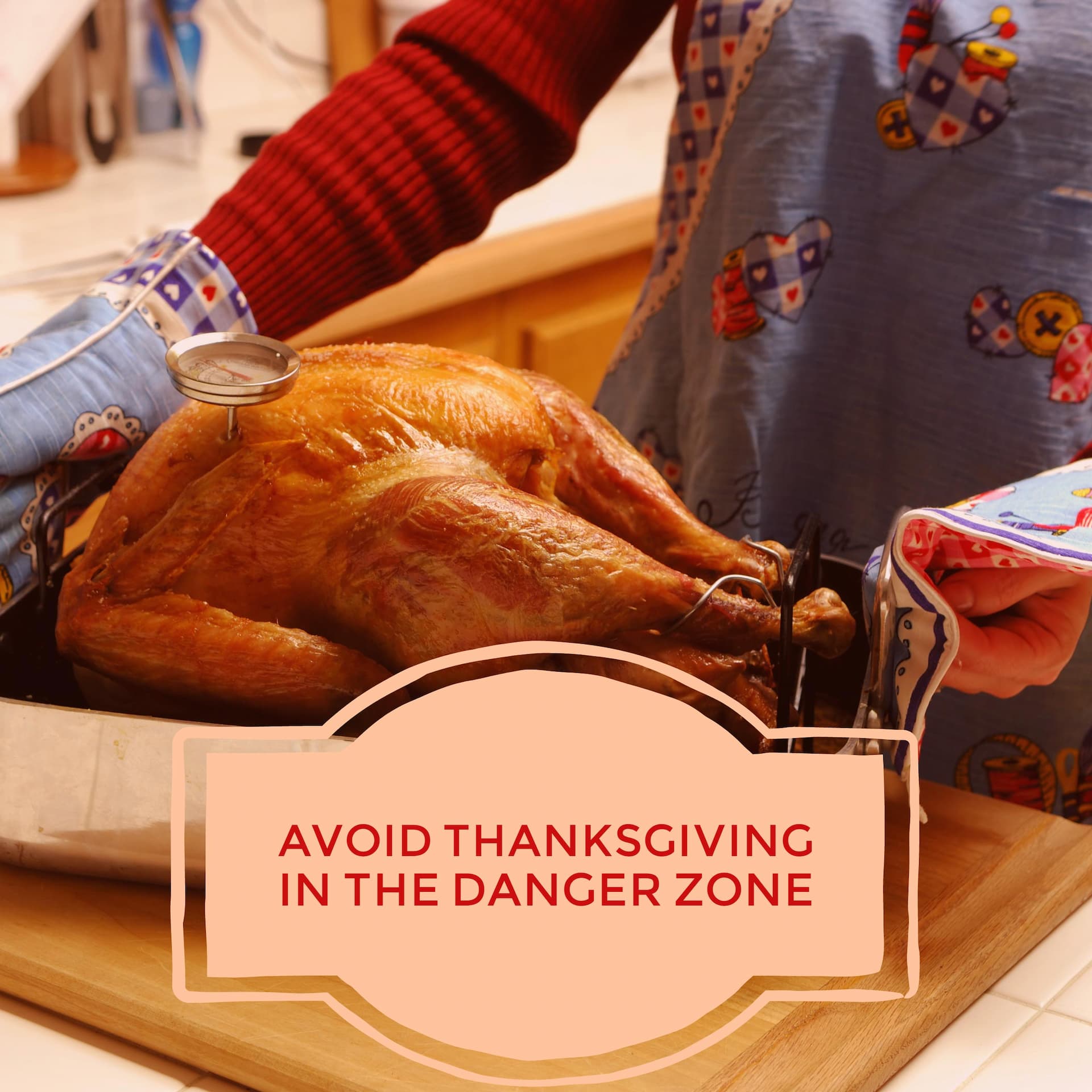 Avoid food poisoning and contamination this Thanksgiving with proper food handling and preparation tips.
