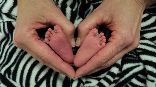 Hands holding a newborn baby's feet