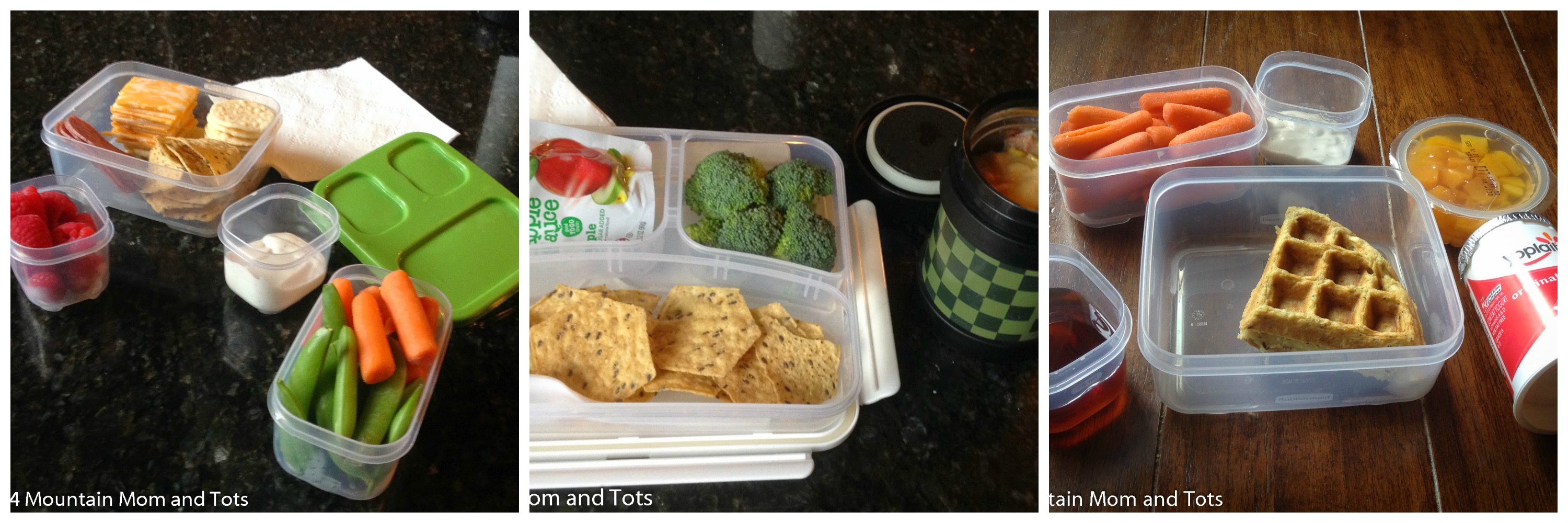 Healthy Lunches for Kids with Allergies