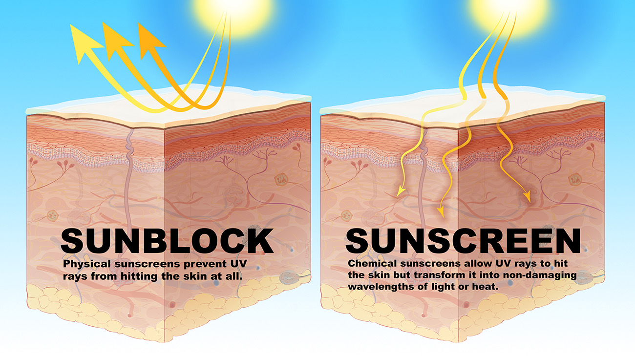 Sunscreen Or Sunblock Which Is Best To Prevent Skin Cancer