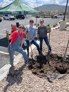 Three women helping plant trees